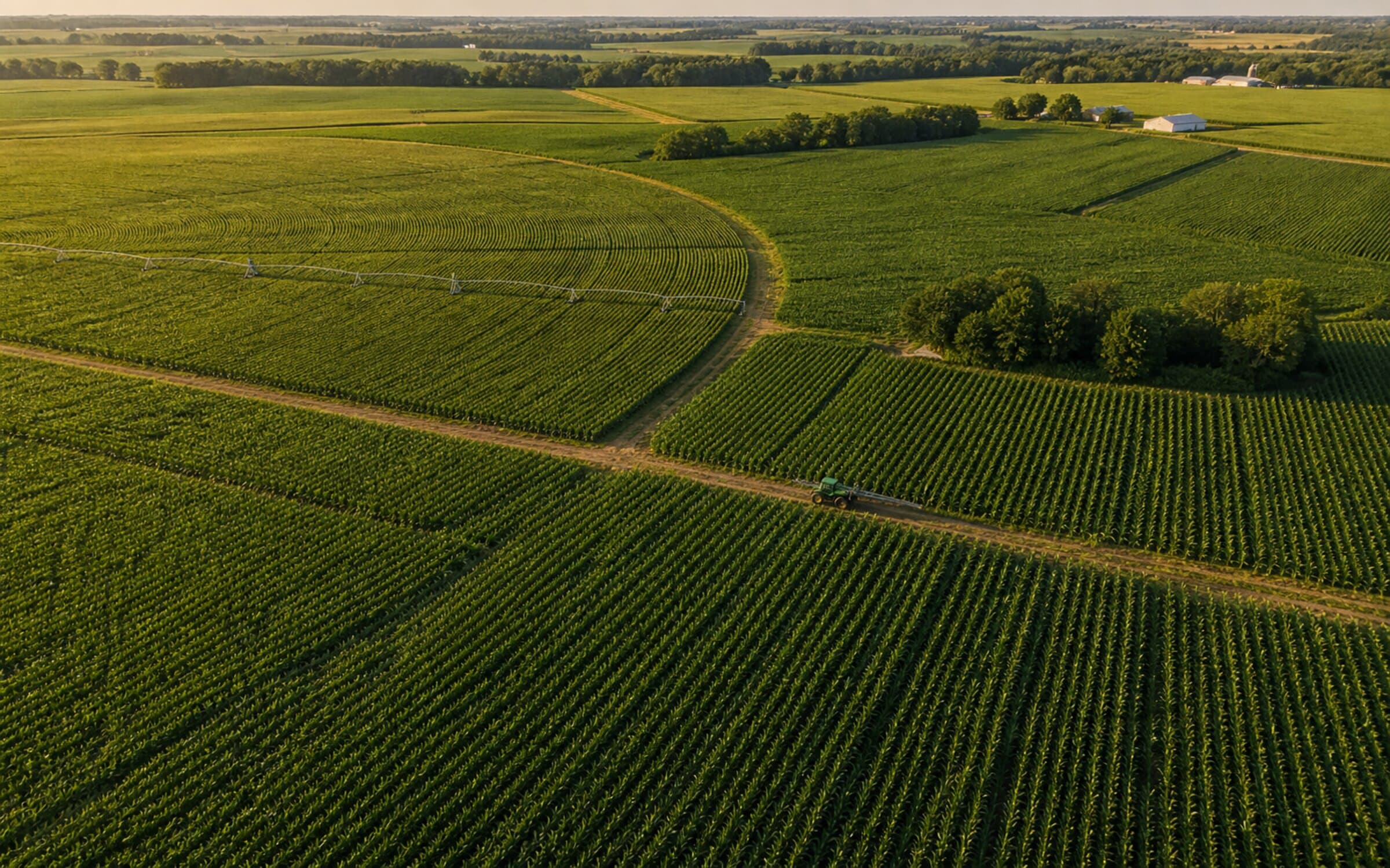 Broad-acre crop with strong row geometry under late-spring light, showing the scale at which FMC's seven precision-agriculture models operate.