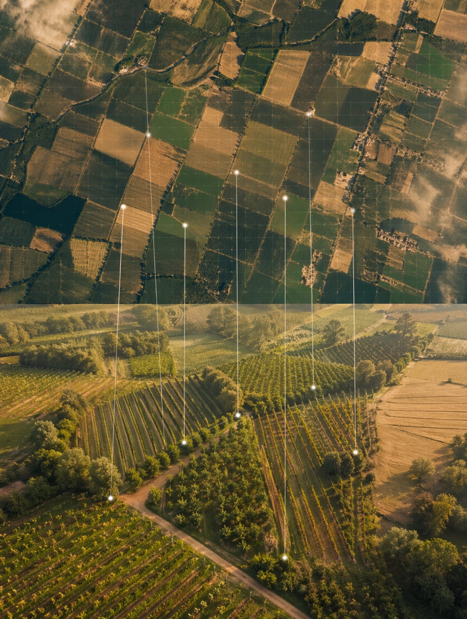 Aerial farmland imagery prepared for multi-class agronomic annotation